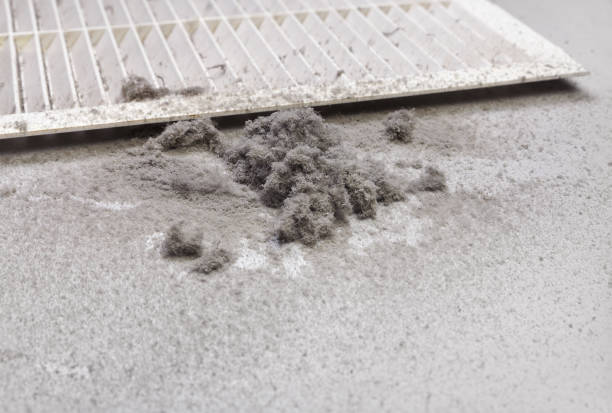 Best Professional Duct Cleaning Services  in La Quinta, CA