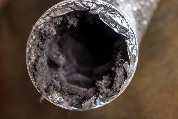 Best Duct Cleaning Specialists  in La Quinta, CA